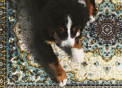 Dywan winylowy do domu Perskie ornamenty