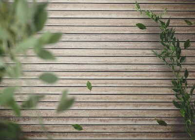 Wewnętrzny dywan winylowy Deska w paski