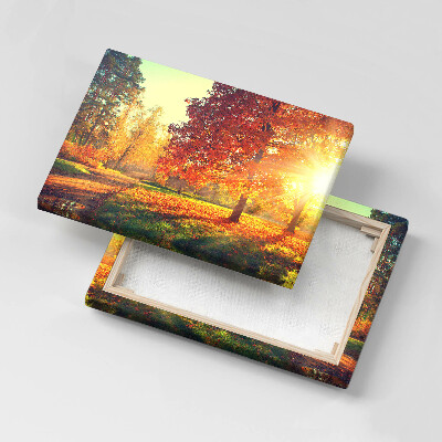 Obraz na płótnie 30x20 Jesienny park